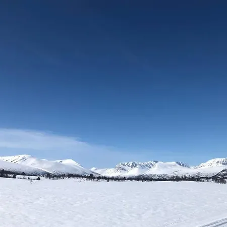 Fjellro Mountain Feriehus Oppdal