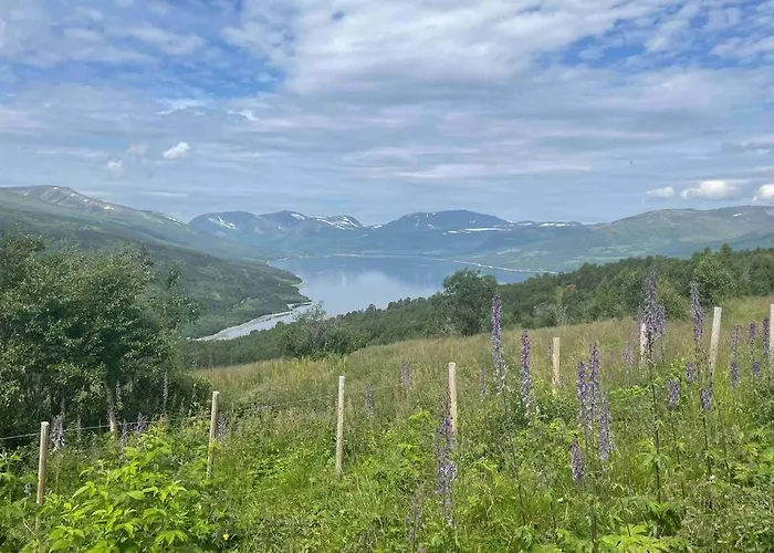 Fjellro Mountain *