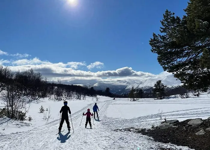 Fjellro Mountain Оппдал