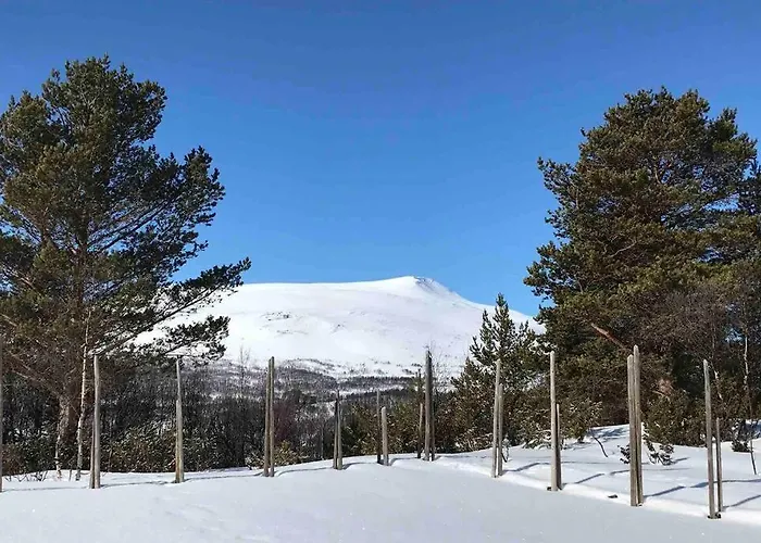 Fjellro Mountain