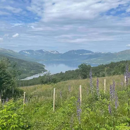 Fjellro Mountain *